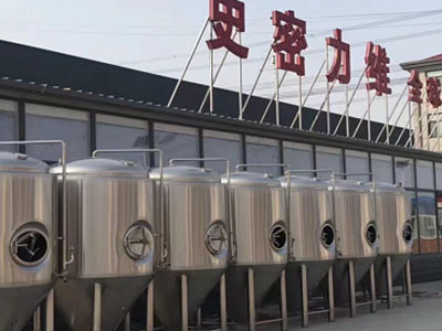江城精酿啤酒设备厂—如何判断精酿啤酒设备的密封件需要更换？